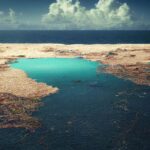 Na njemu buja život: U komadima plastike sa Velikog pacifičkog ostrva smeća nađena 484 beskičmenjaka
