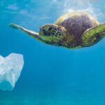 Plastika koju su ljudi proizveli teža od celokupnog životinjskog sveta na planeti Zemlji